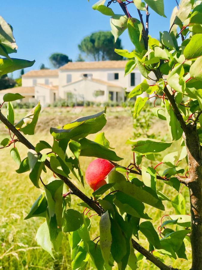 La Maison D Ame - For The Perfect Stay At The Mont Ventoux Malaucene Exterior photo